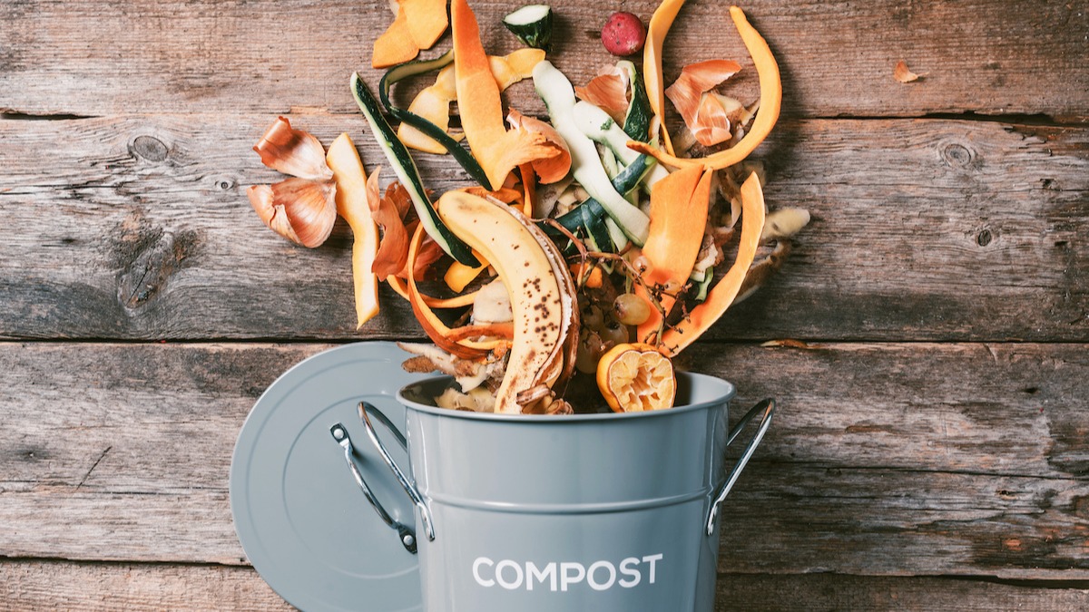 Reducing Food Waste with PanSaver