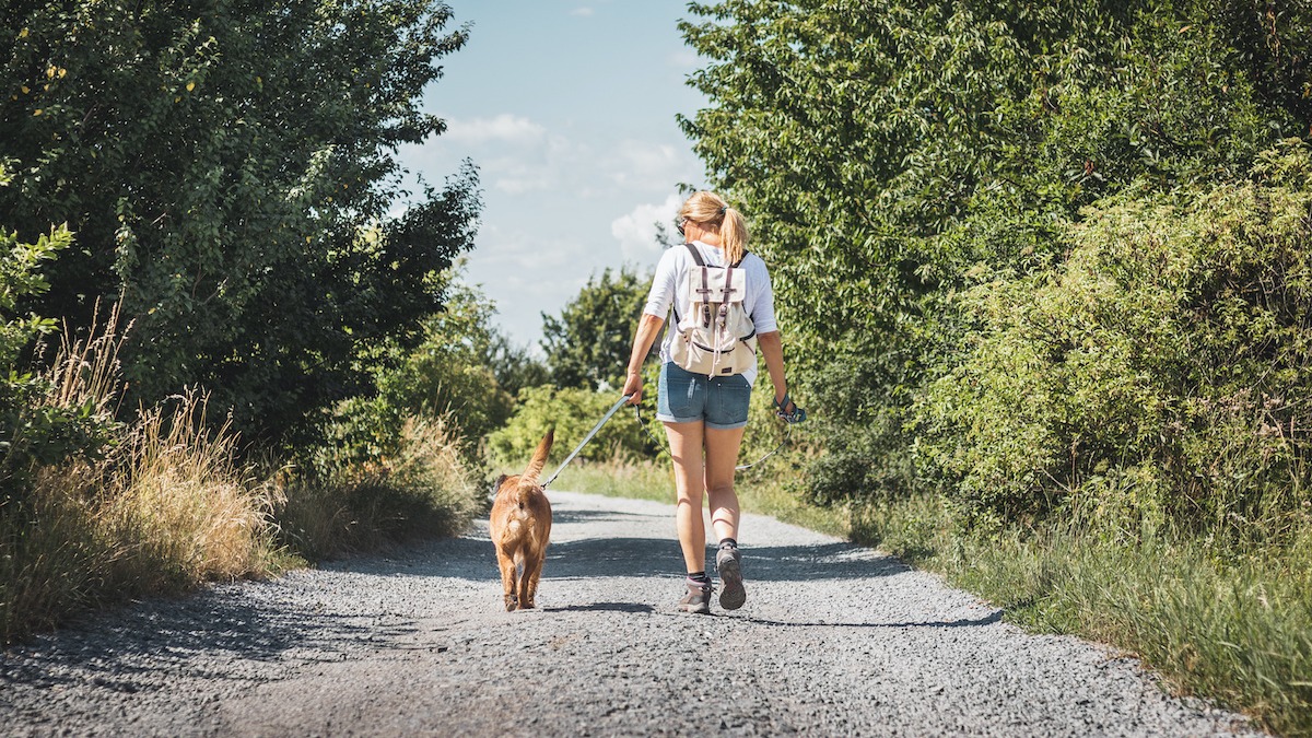 how often should you walk your dog