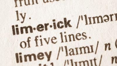 Dictionary definition of word limerick