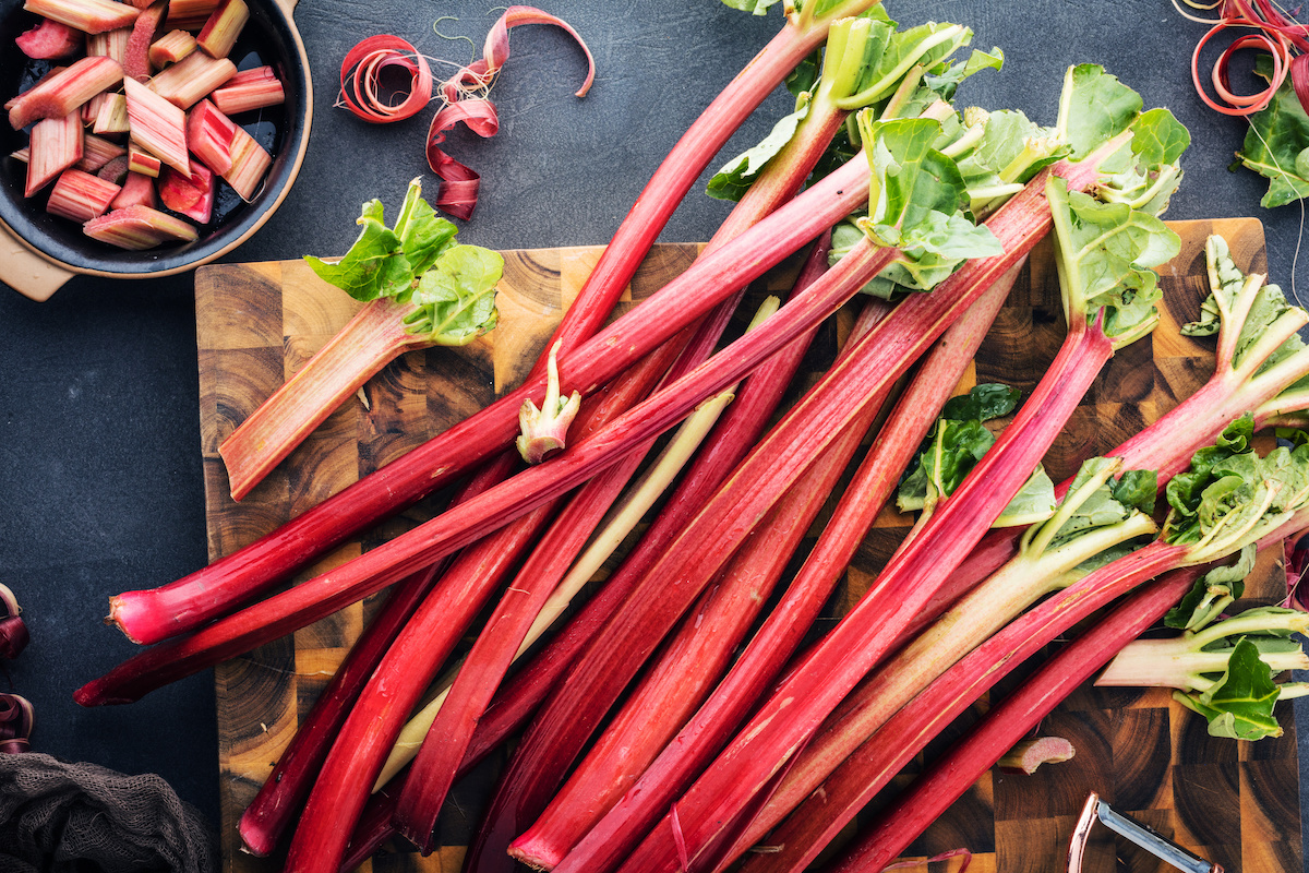 Freeze-Drying Sliced Celery and Rhubarb – Never Free Farm