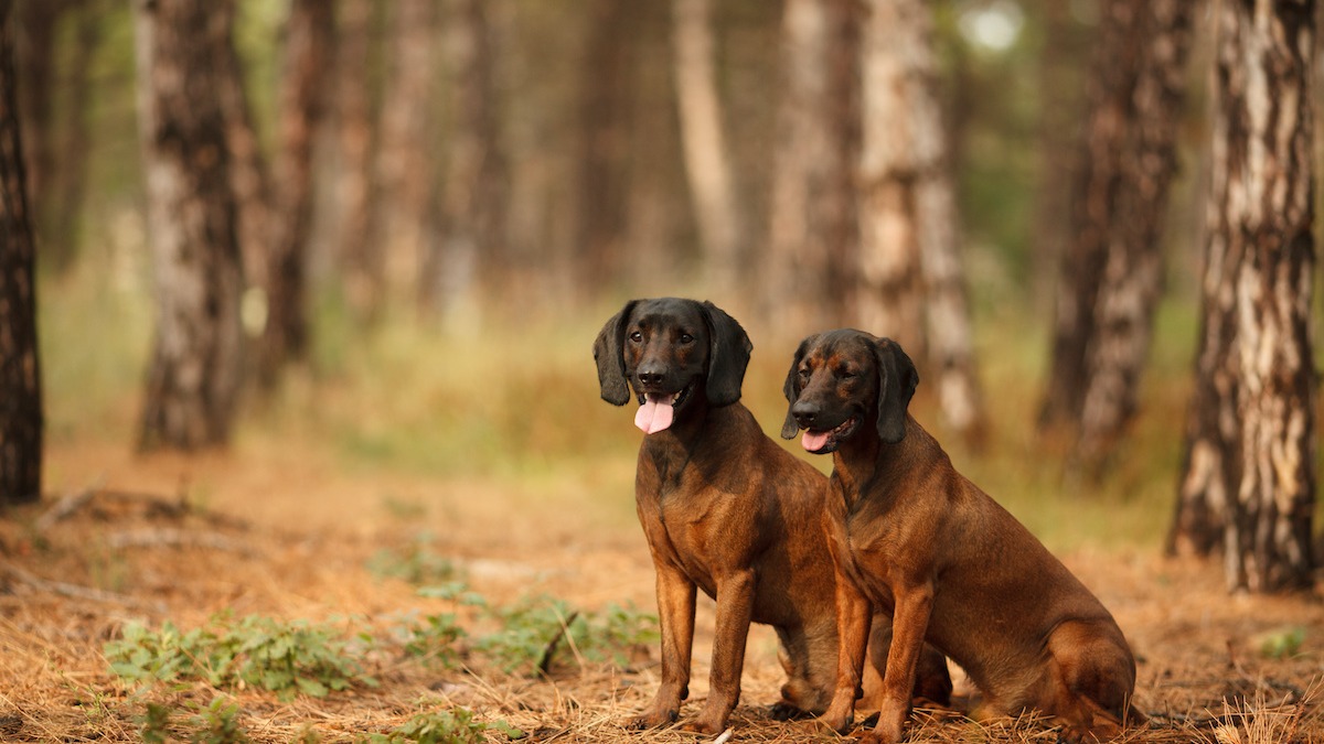 AdobeStock_282657501_2.jpeg