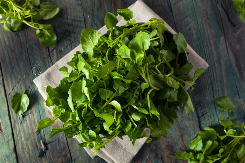 What Is Watercress? Learn What Watercress Looks and Tastes Like, Plus