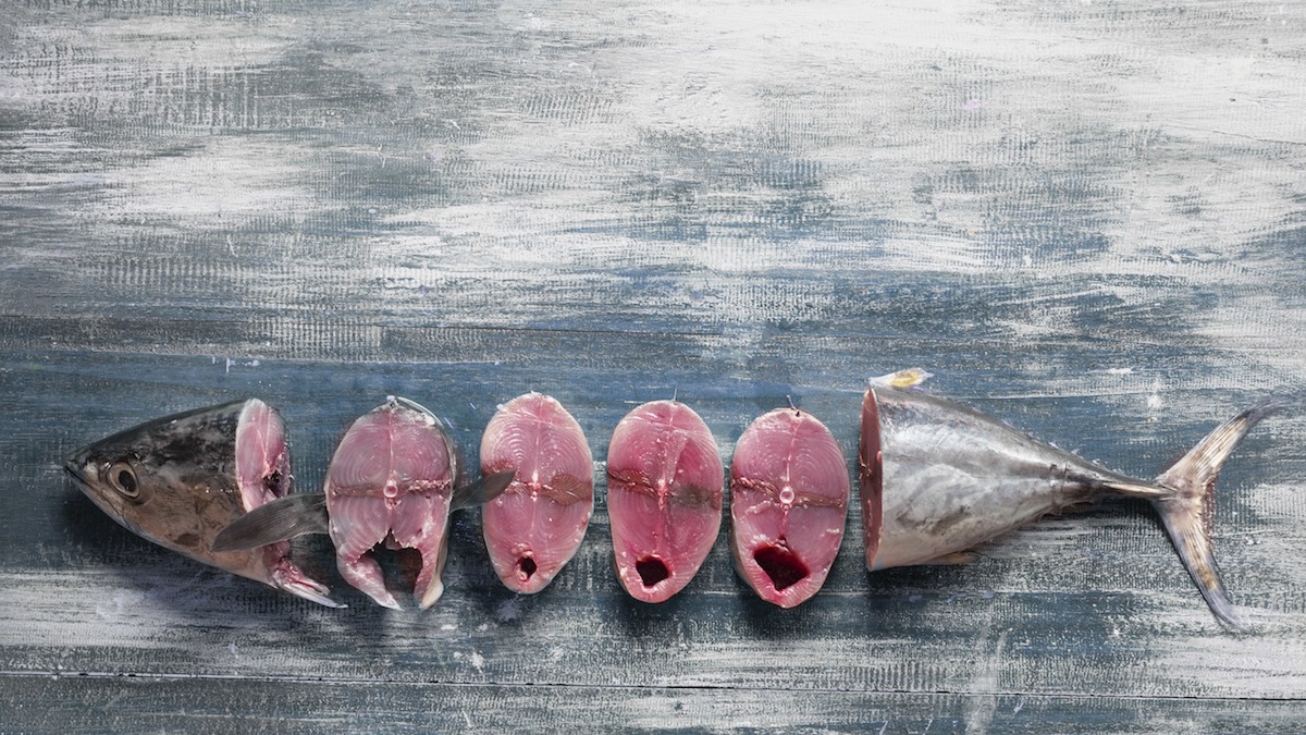 tuna fish food