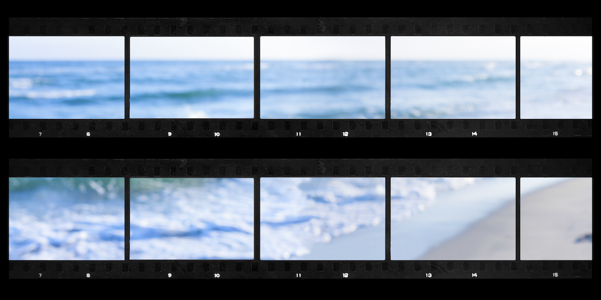 Contact Sheet in Photography: How to Make a Contact Sheet - 2024 -  MasterClass