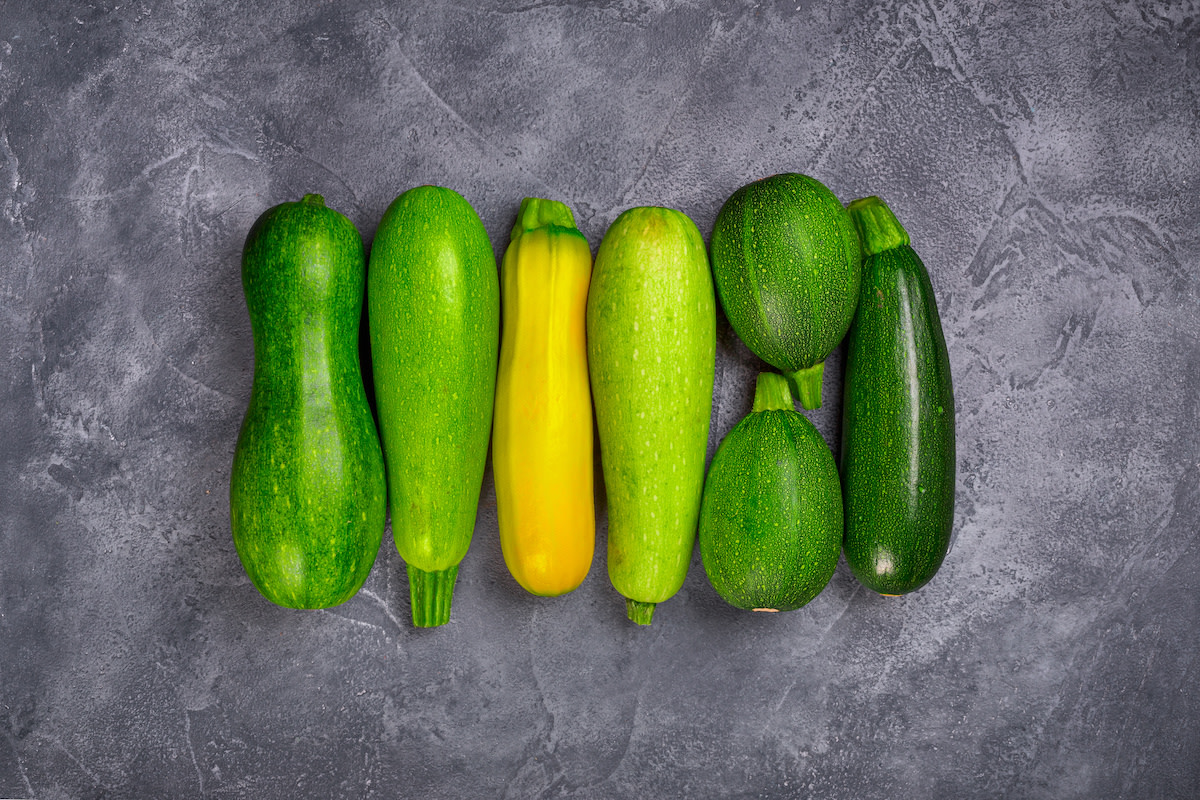 Zucchini and Squash on Black Background