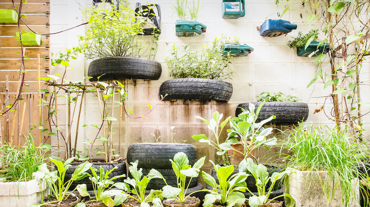 8 Urban Gardening Techniques You Need To Have A Beautiful City