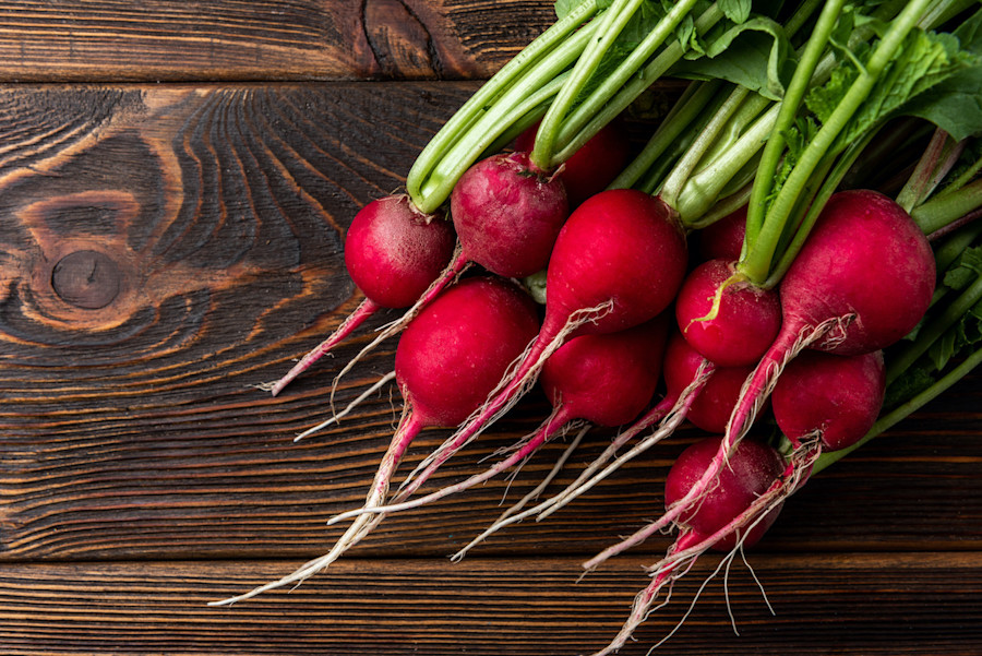 How To Store Radishes 6 Ways To Store Radishes 2022 Masterclass