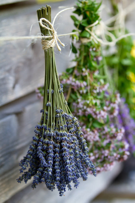 How to Air Dry Herbs