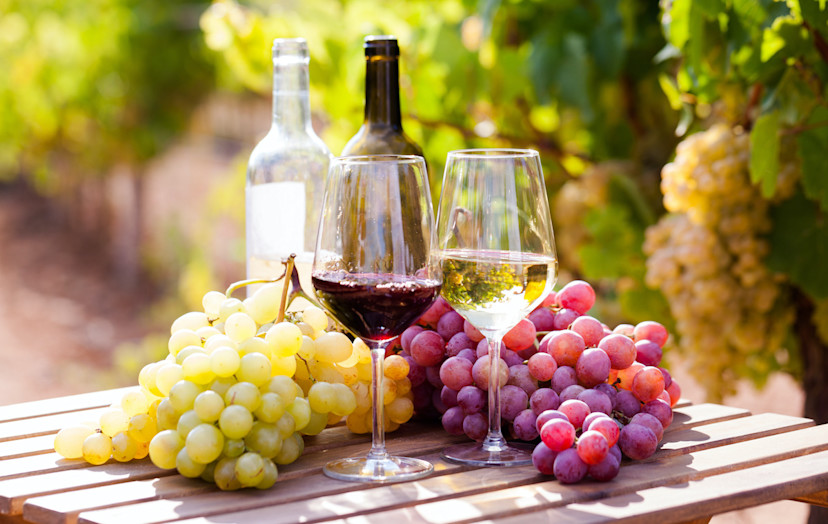 Red Wine vs. White Wine Differences in the Grape Varietals 2024