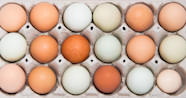 All About Egg Grades What s The Difference Between Grade AA Grade A 