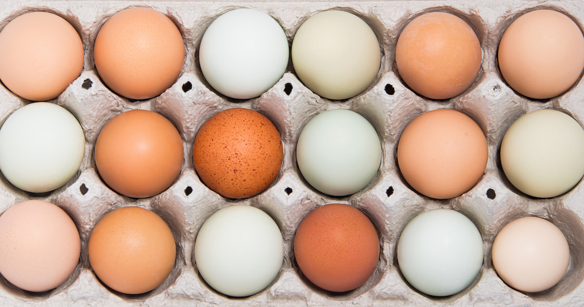 a tray of different colored eggs