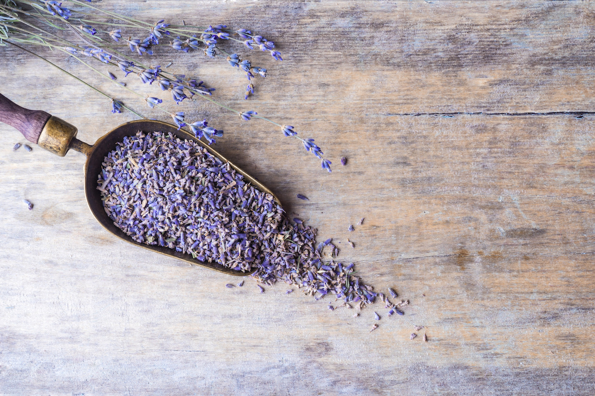 lavender used in cooking        <h3 class=