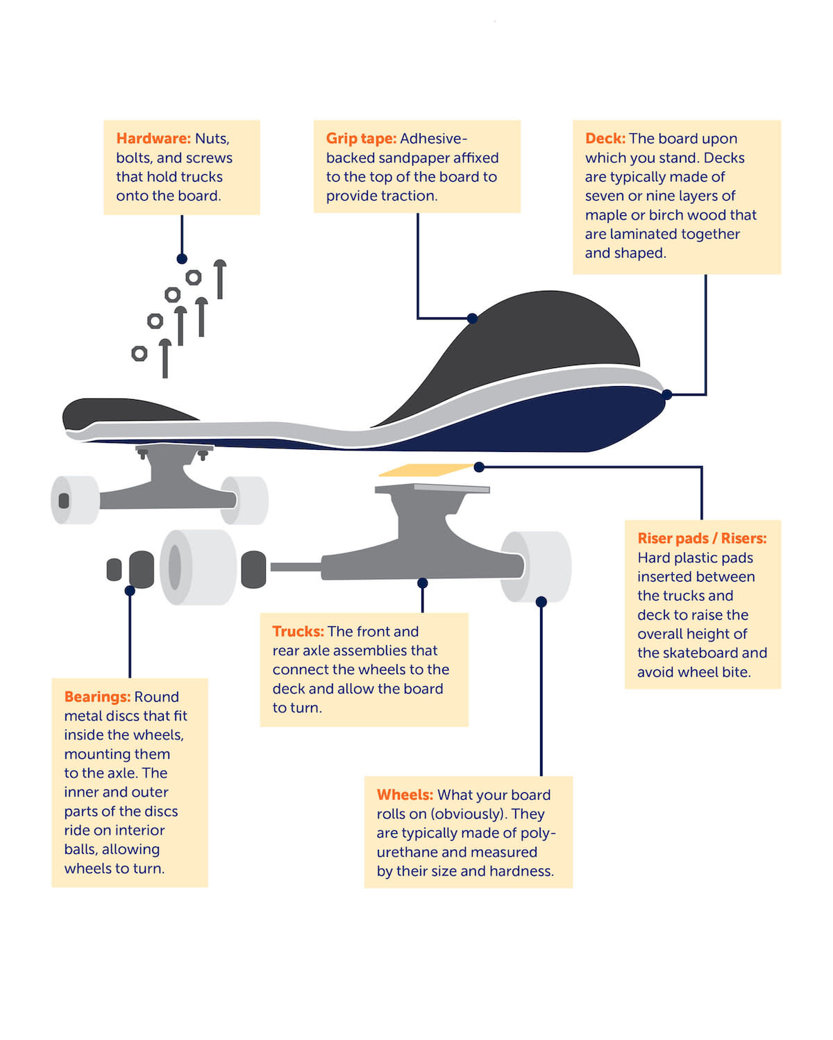 Parts of a Skateboard diagram