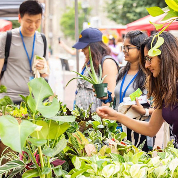 A few people shop for plants at a farmers market.