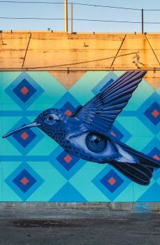 a mural of a bird with an eye in the underbelly
