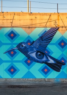 a mural of a bird with an eye in the underbelly