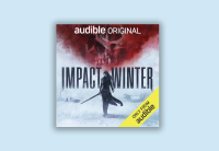 The cover art for "Impact Winter" featuring a dark figure wielding a sward with red smoke in the background. 