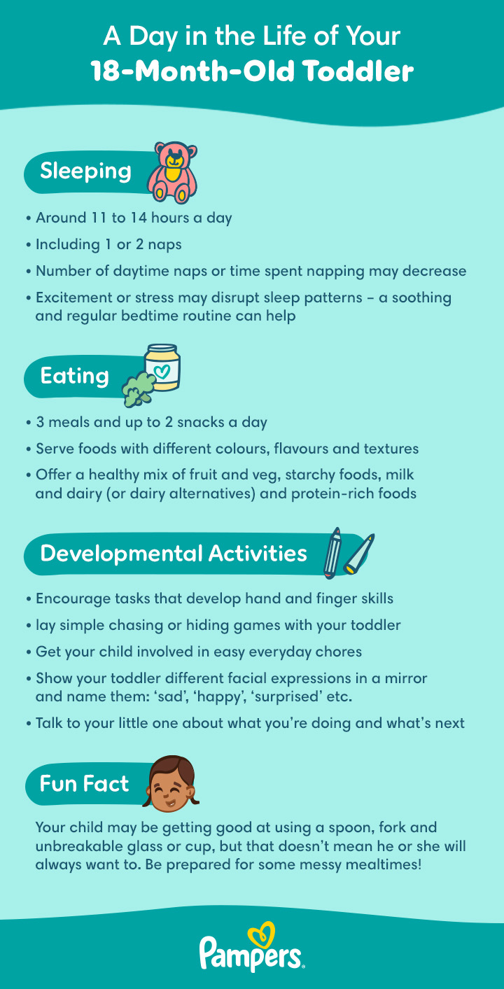 18 Month Old Development Sleep and Activities Pampers UK