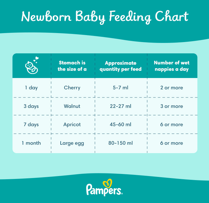 Newborn & Baby Feeding Schedule and Chart