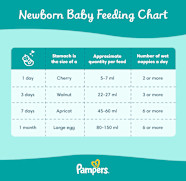 Baby Feeding Chart How Much Should A Newborn Eat 42 OFF