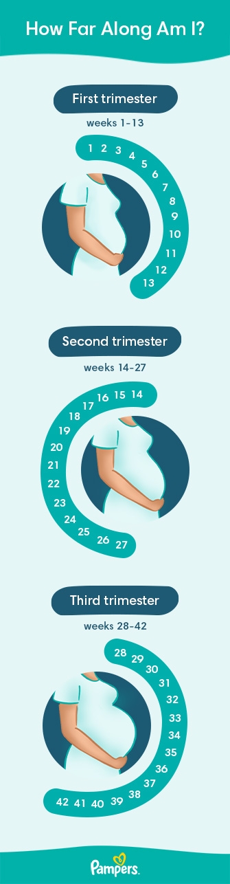 1 2 3 Weeks Pregnant Early Signs Symptoms Pampers UK