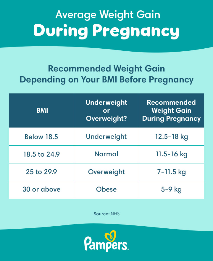 Weight Gain in Pregnancy What s the Average Pampers UK