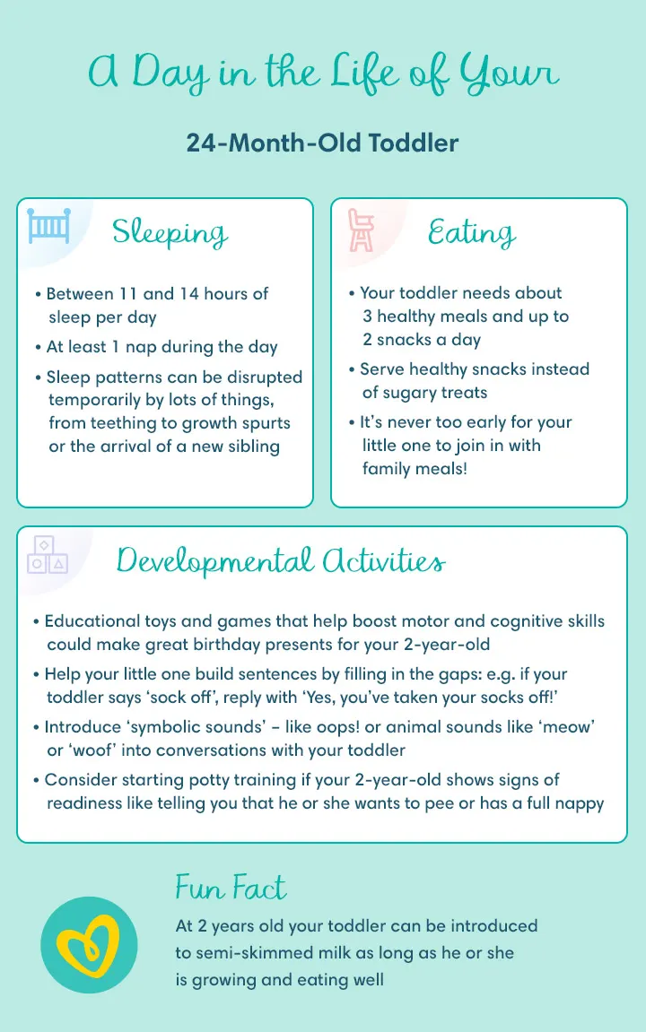 5 Best Activities for 2-Year-Olds (24-Month-Olds) to Develop New