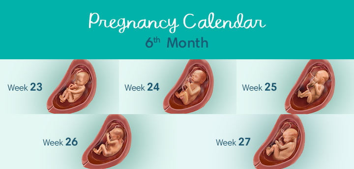 6 Months Pregnant Symptoms And Foetal Development Pampers Uk