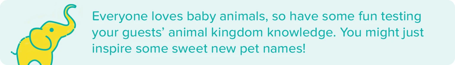 babyshower_animal_game_1536x221 babyshower_animal_game_1536x221