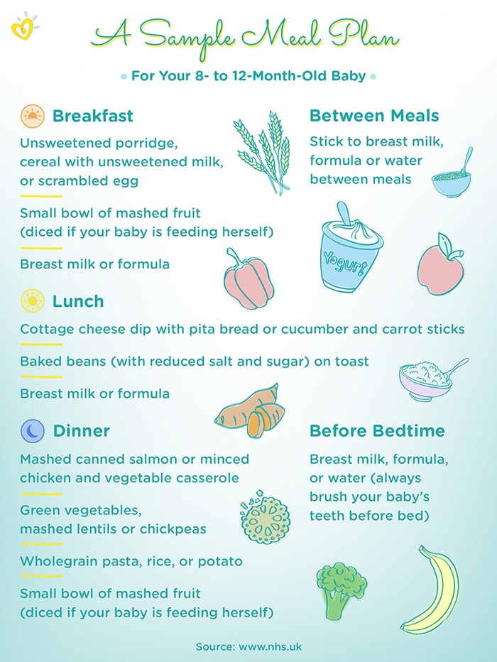 Feeding and Breastfeeding Your 8 to 12 Month Old