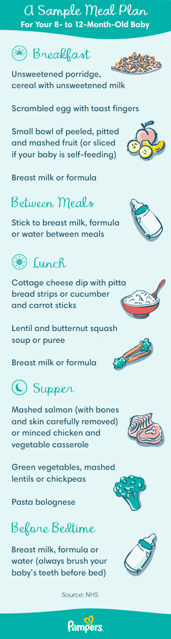 Meal Schedules Baby Led Weaning (BLW)  Baby led weaning, Meal schedule,  Baby milestones