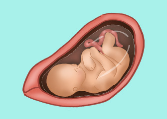 33 Weeks Pregnant: Symptoms & Baby Development | Pampers UK