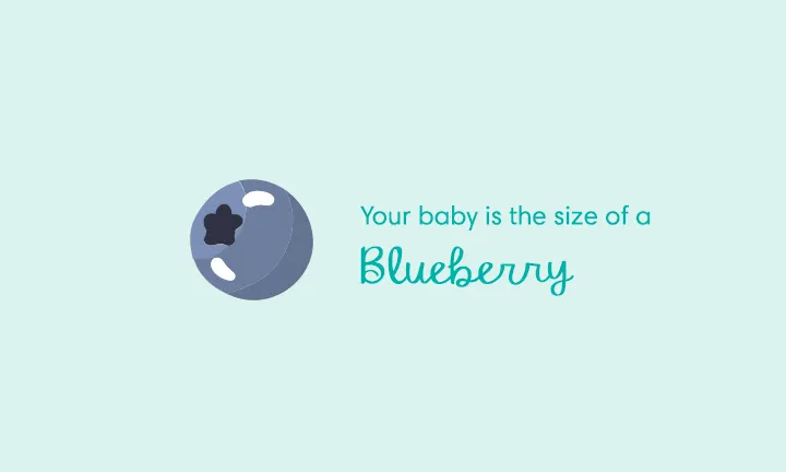 Baby Your Baby- Seven Ways to Keep Balance During Pregnancy and