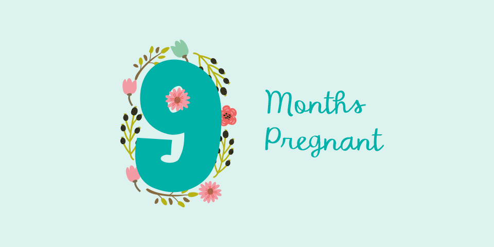 Nine months. 9 Месяцев. 9 Месяцев картинки. Pregnancy надпись. Беременна надпись.