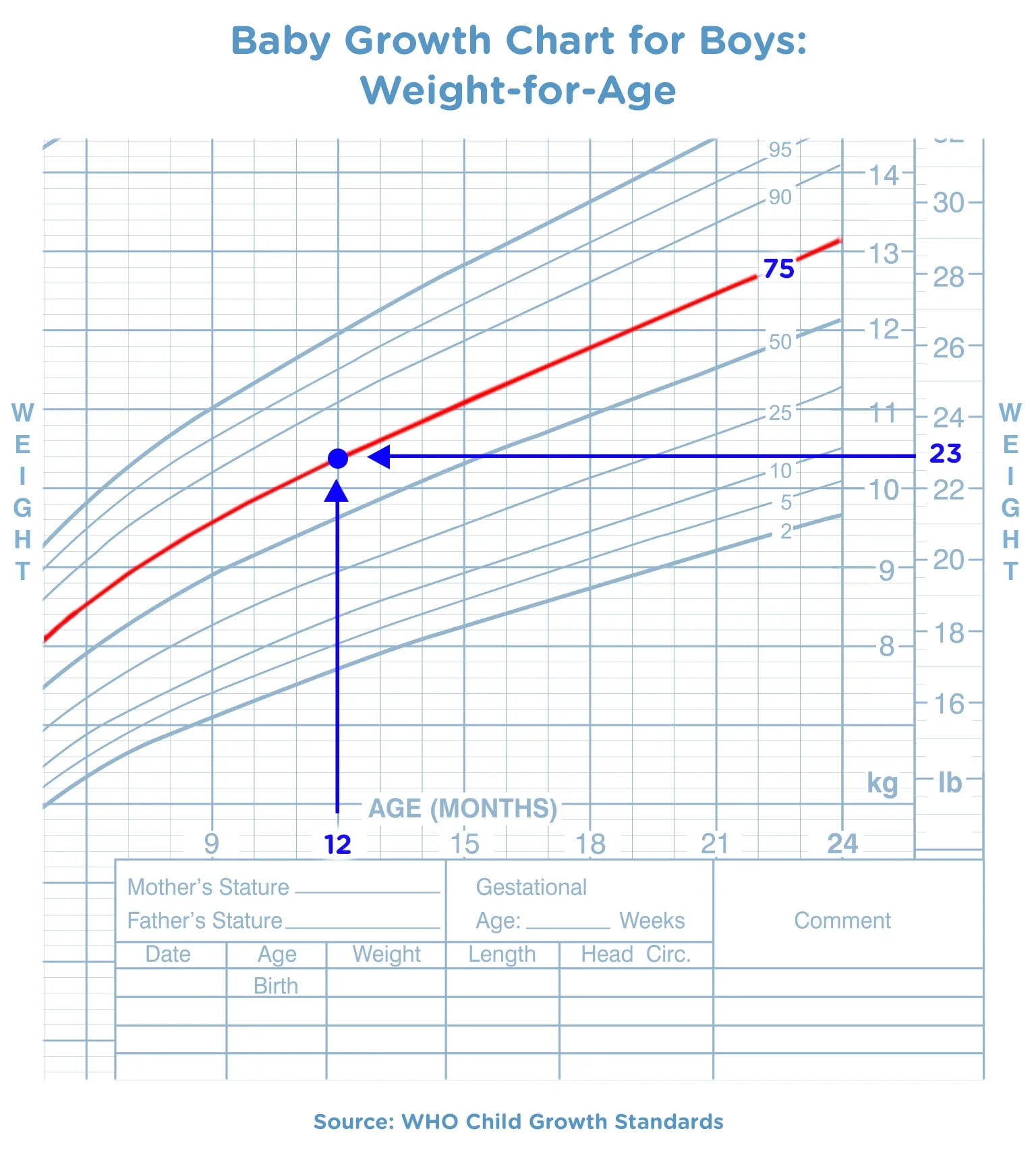 baby weight chart by month