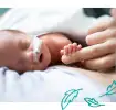 All About Premature Baby Skin