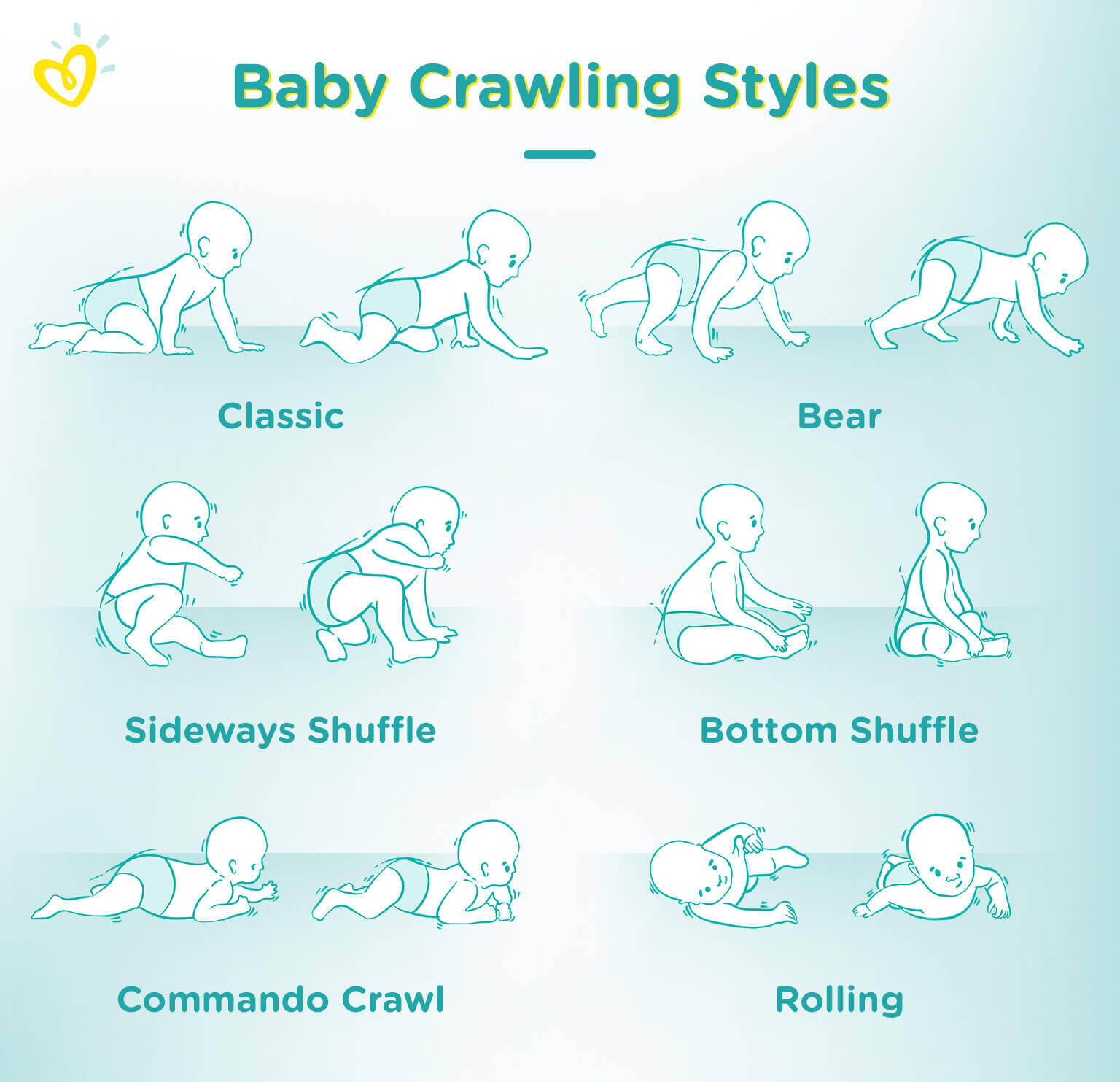 How many stages of crawling are there?