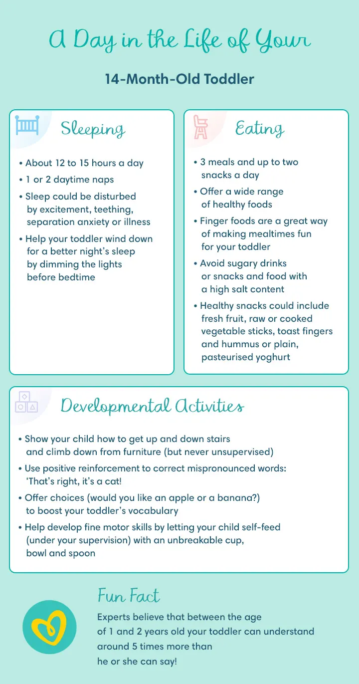 14-Month-Old: Development, Sleep & Activities | Pampers UK