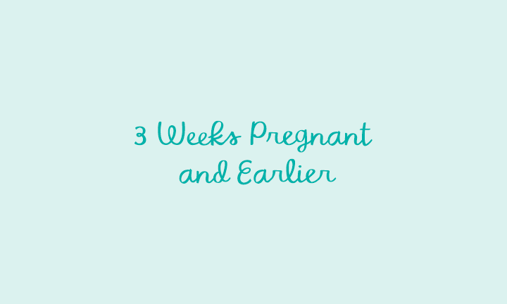 1 3 Weeks Pregnant Precautions And Early Signs Pampers