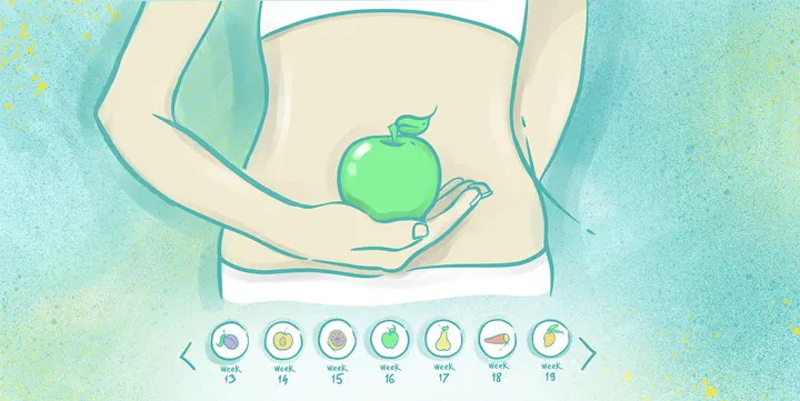 Announce your pregnancy using fruit as the baby’s size Announce your pregnancy using fruit as the baby’s size