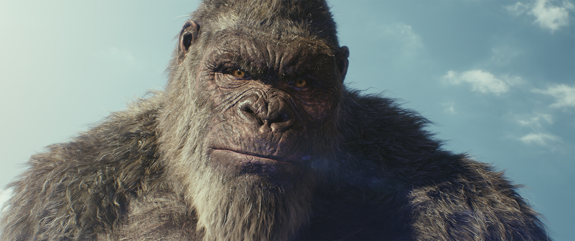 Godzilla x Kong: The New Empire - Kong still 