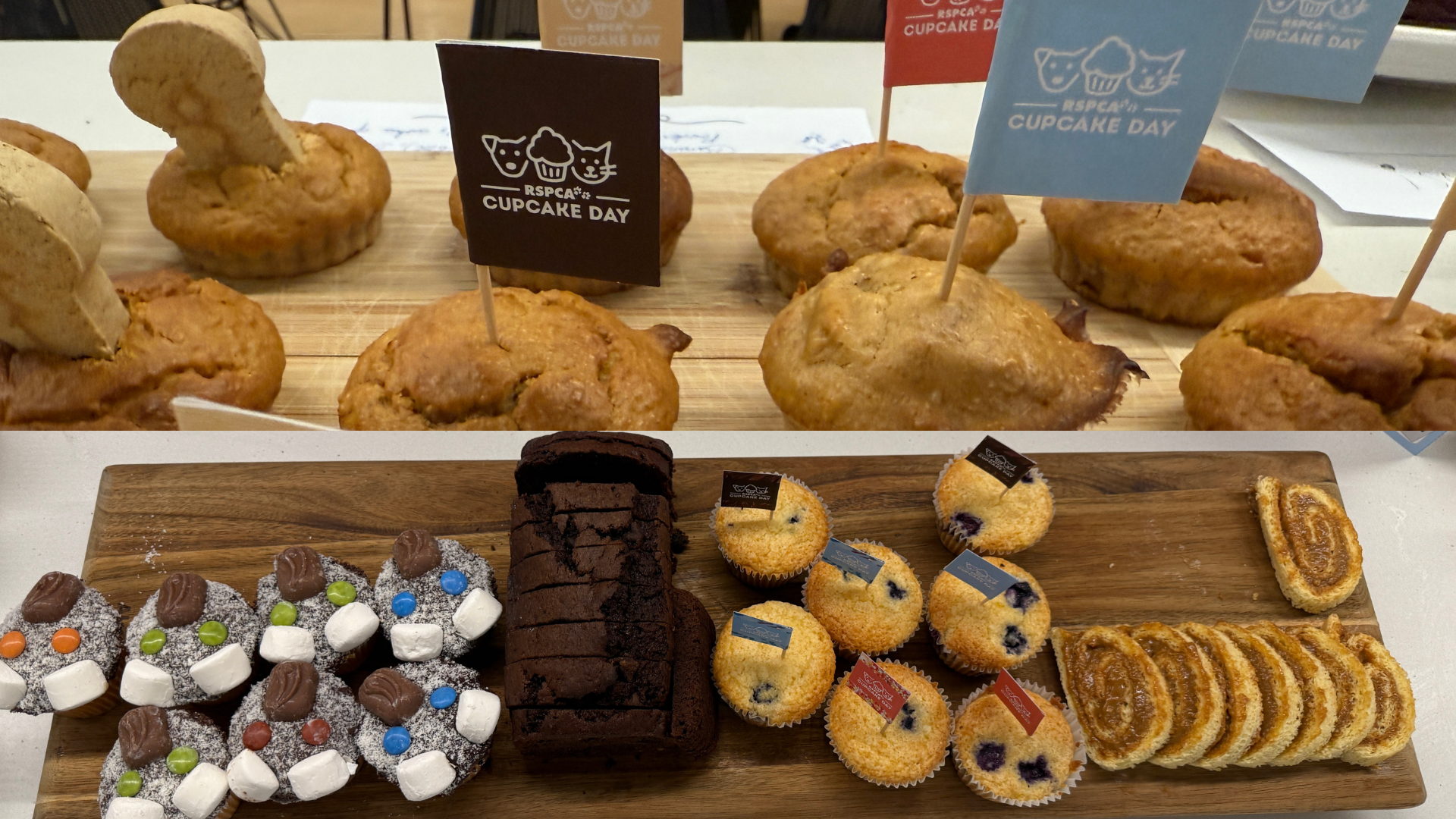 Mixing Magic Beyond the Screen: RSPCA Cupcake Day at DNEG Sydney - Still 1