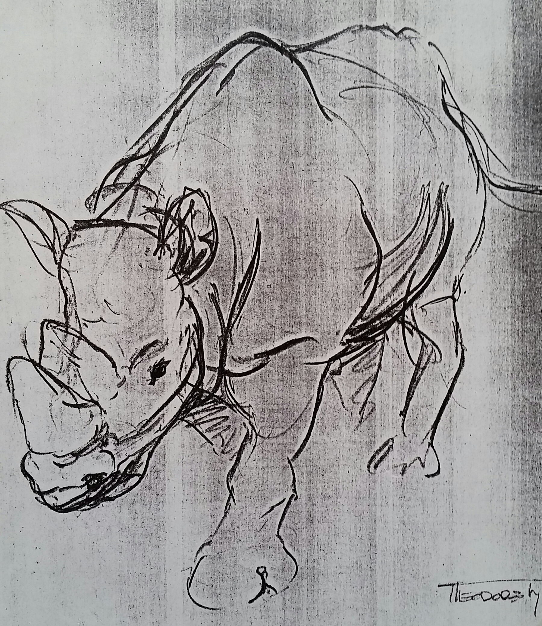 Ted Ty - Nemoland - personal sketches - rhino