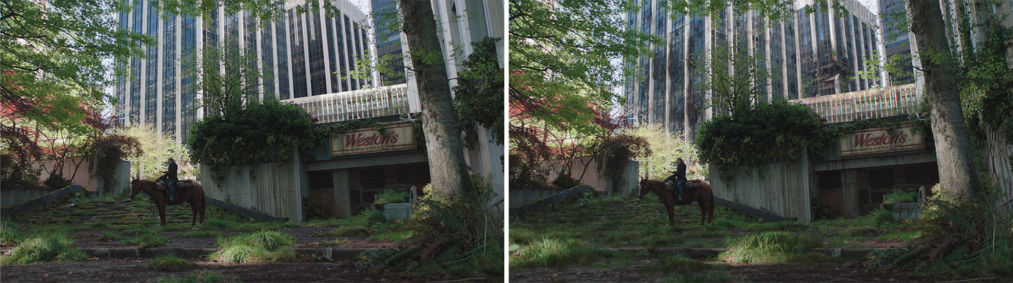 The Last of Us Season 2 - Press Round-Up - Progression VFX Stills - ellie horse