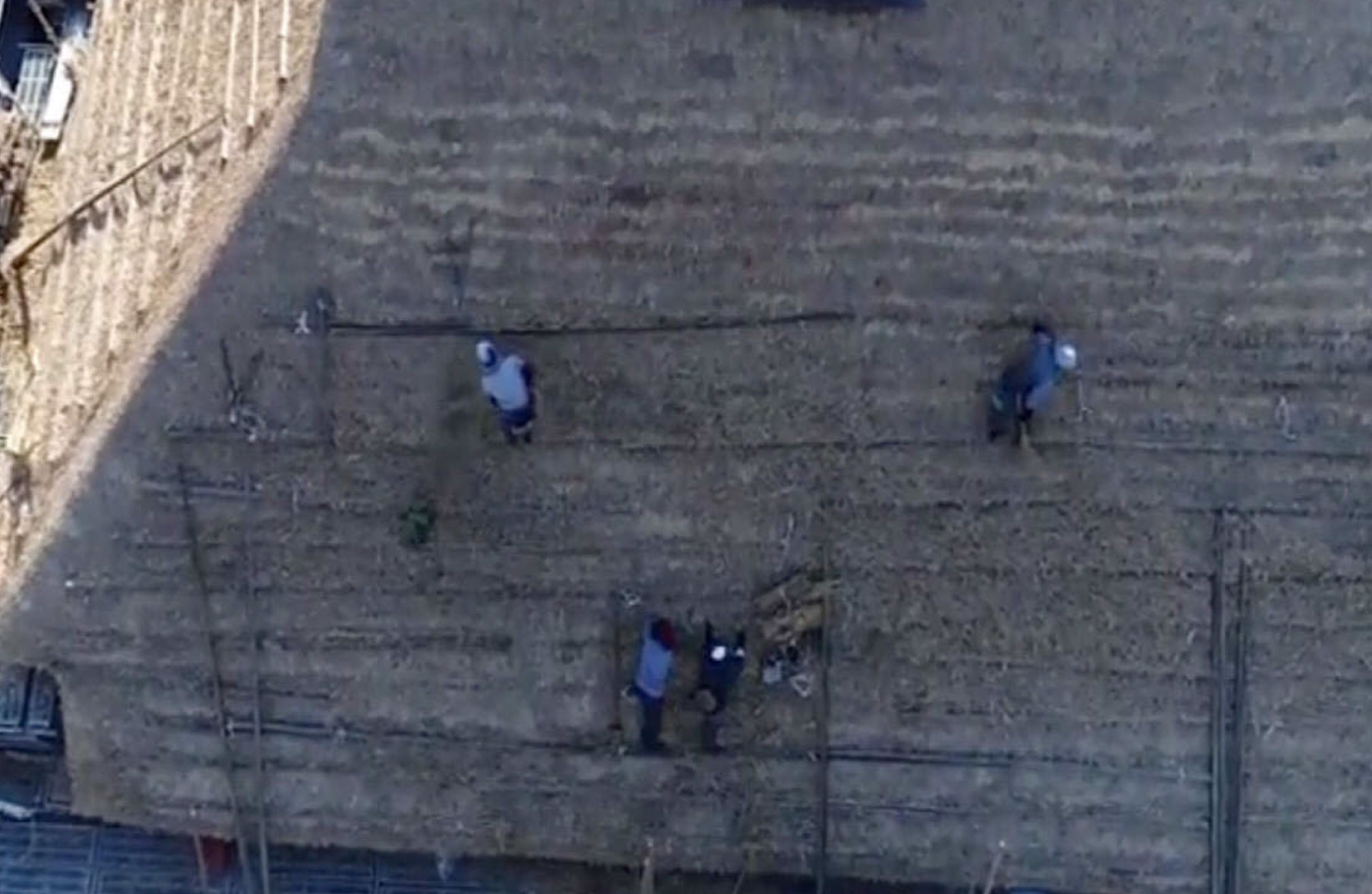 茅葺古民家 Flourish