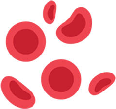 Red blood cells