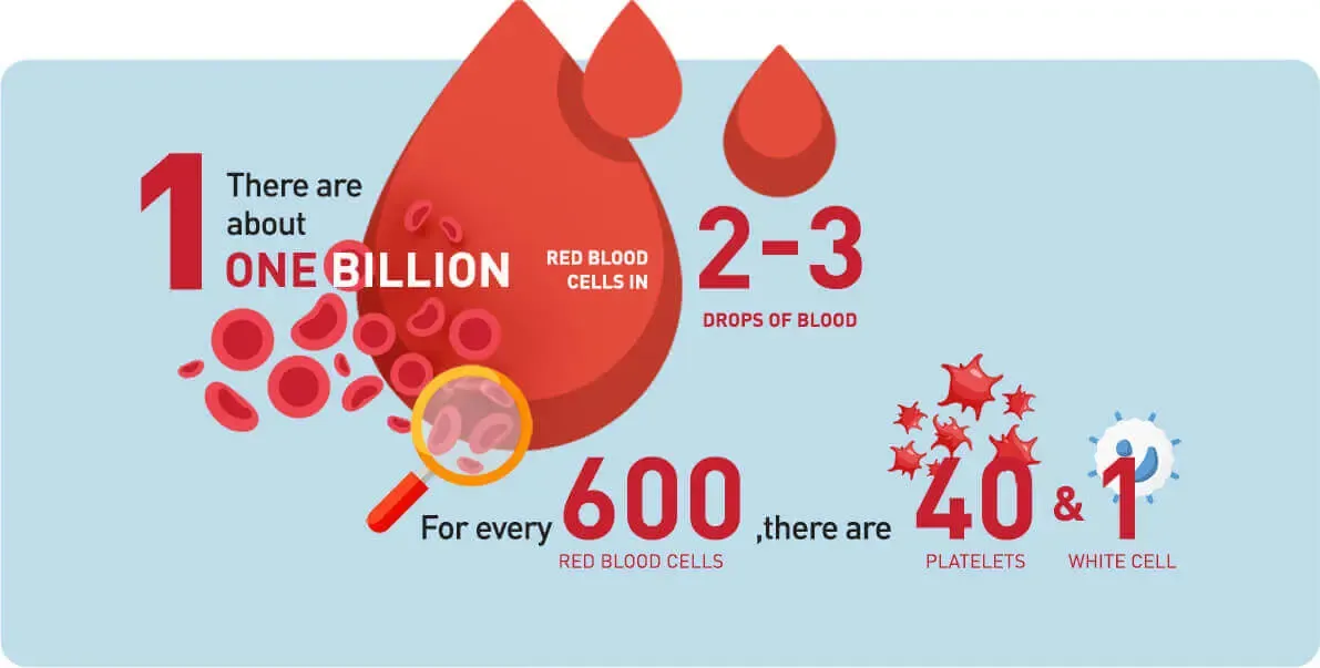 Blood as a life force - Infographic new 1