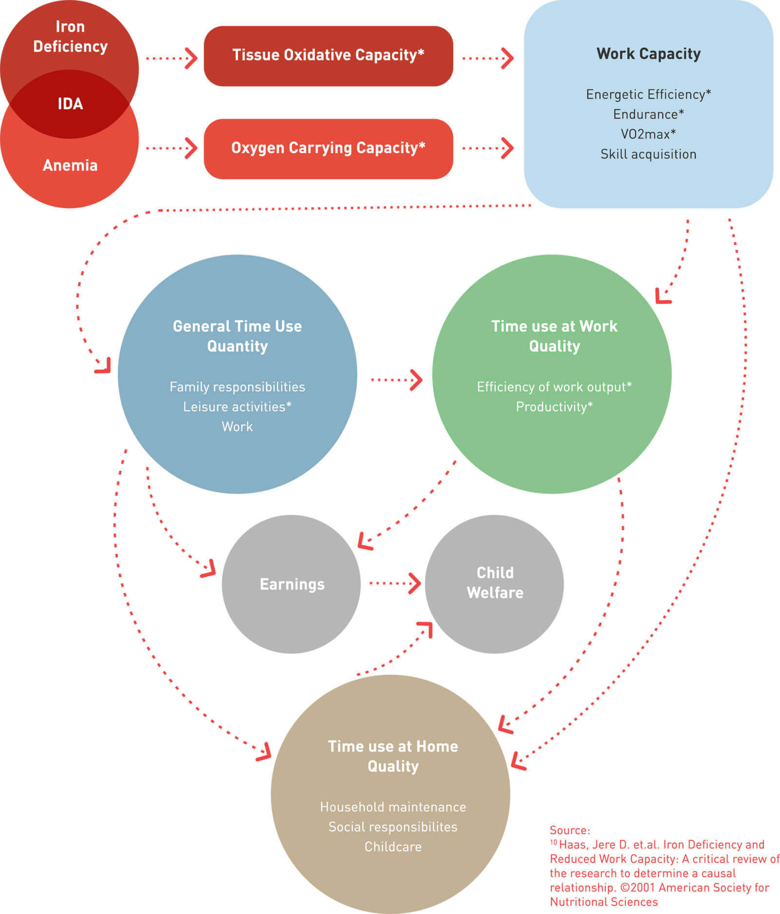 IRON AND ECONOMIC IMPACT (PRODUCTIVITY & COGNITION)