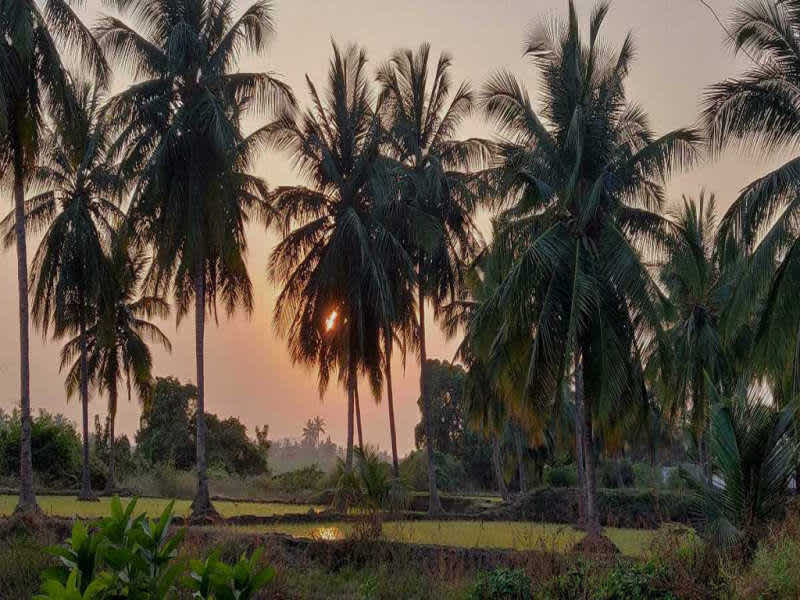 single place