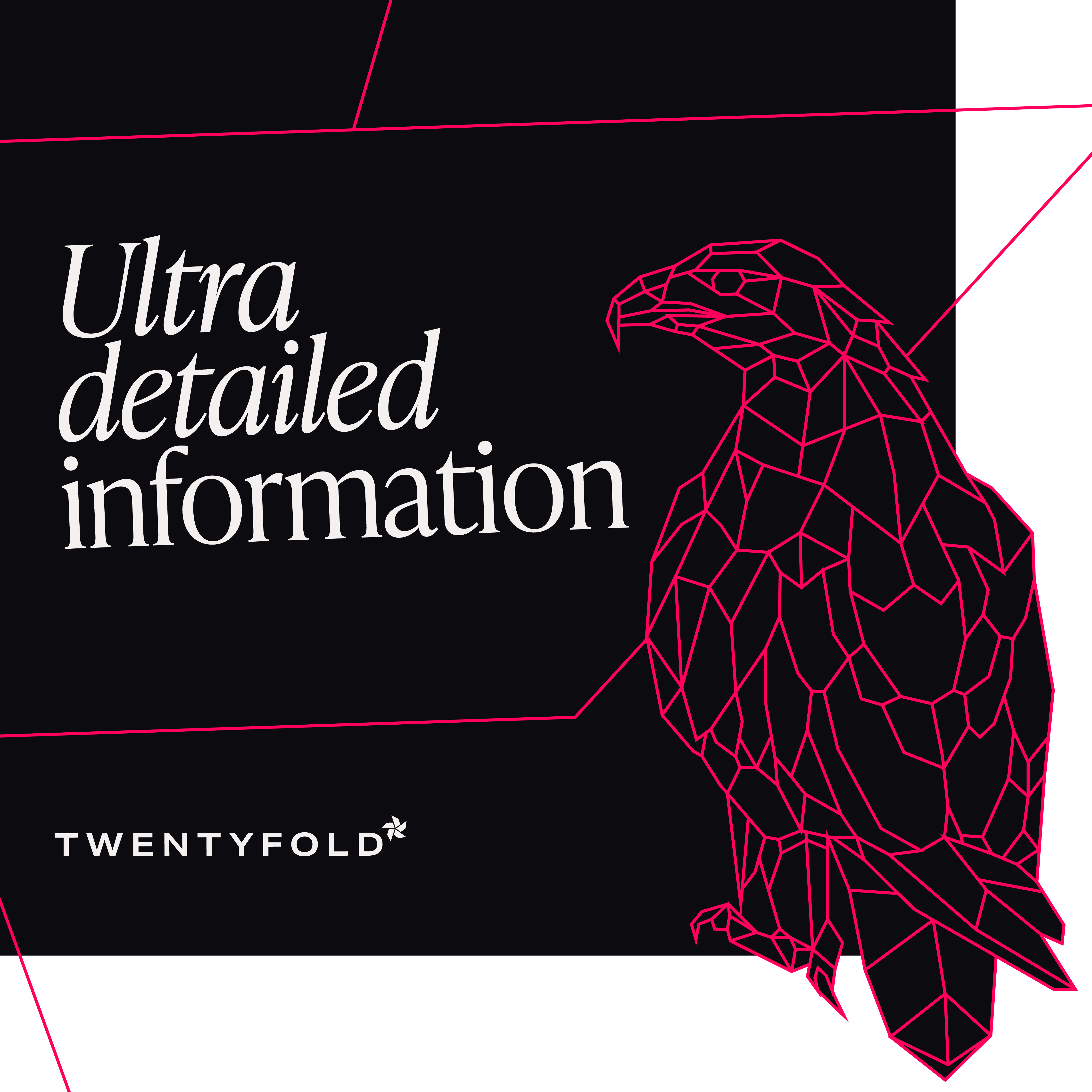 Eagle - ultra detailed information